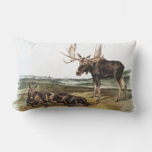 Coussin Rectangle Illustration de Moose Deer (Servus alces)