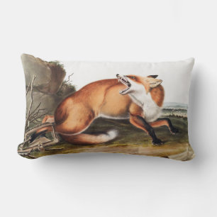 Coussin Rectangle Illustration du Renard rouge américain (Vulpes Ful