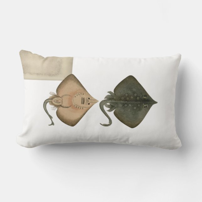 Coussin Rectangle Illustration vintage Burton Skate (Recto)