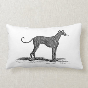 Coussin Rectangle Illustration vintage de chien de lévrier de 1800s