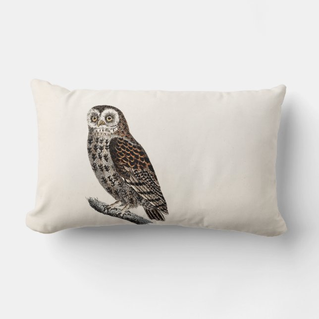 Coussin Rectangle Illustration vintage de hibou - modèles des (Recto)