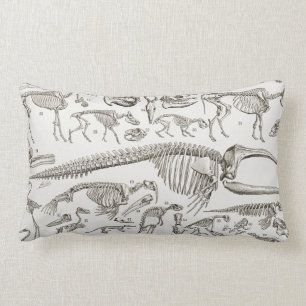 Coussin Rectangle Illustration vintage des os humains et animaux