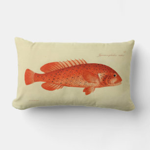 Coussin Rectangle Illustration vintage Poisson Le Coney