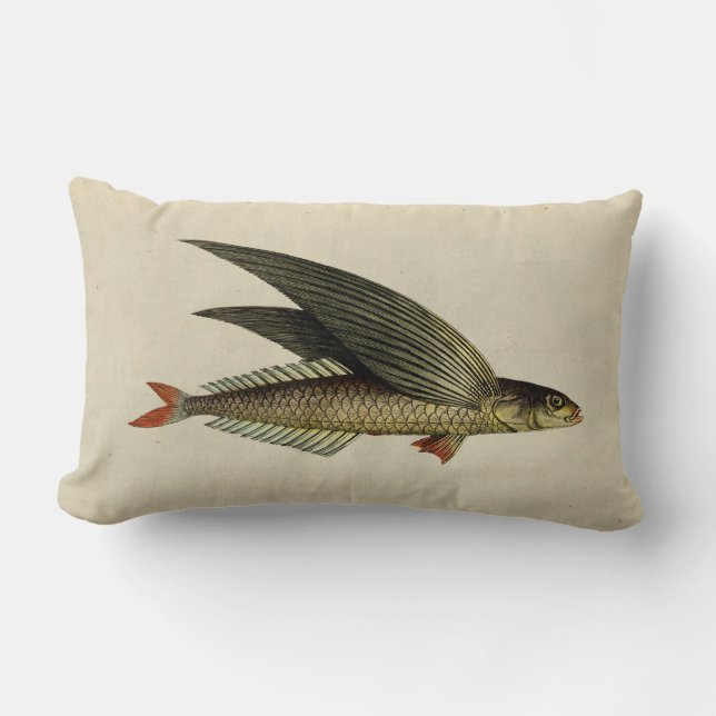 Coussin Rectangle Illustration vintage Poisson volant (Recto)