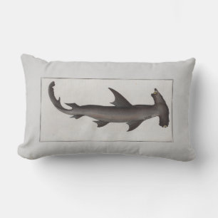 Coussin Rectangle Illustration vintage requin marteau