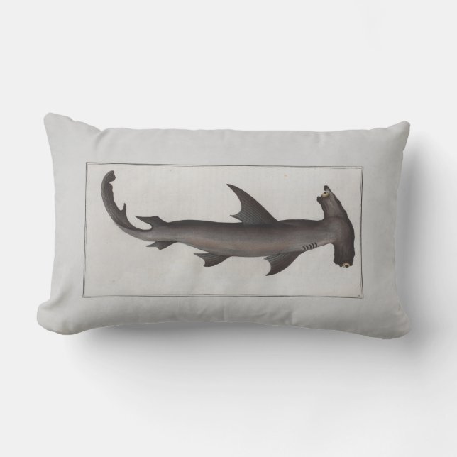 Coussin Rectangle Illustration vintage requin marteau (Recto)
