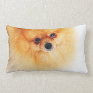 Coussin Rectangle Je suis ici !