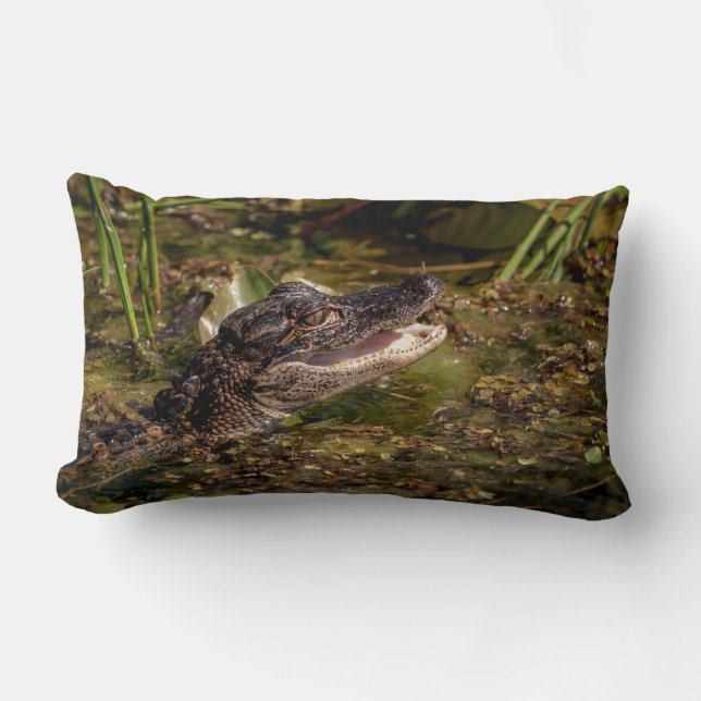Coussin Rectangle Jeune Alligator (Recto)
