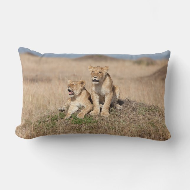 Coussin Rectangle Jeunes lions (Recto)