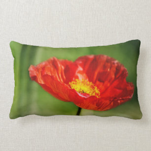 Coussin Rectangle Jolie fleur de pavot rouge