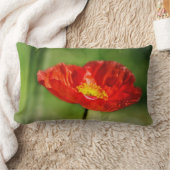 Coussin Rectangle Jolie fleur de pavot rouge (Couverture)