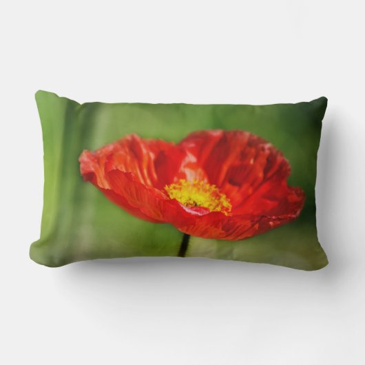 Coussin Rectangle Jolie fleur de pavot rouge (Recto)