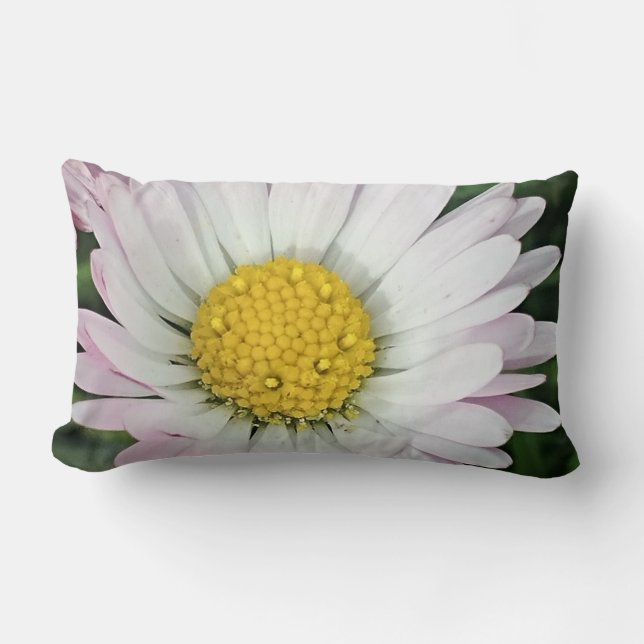 Coussin Rectangle Jolie marguerite (Recto)