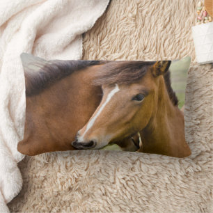 Coussin Rectangle Jument et poulain