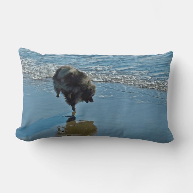 Coussin Rectangle Keeshond Ballet Photographie - Joli chien d'origin (Recto)