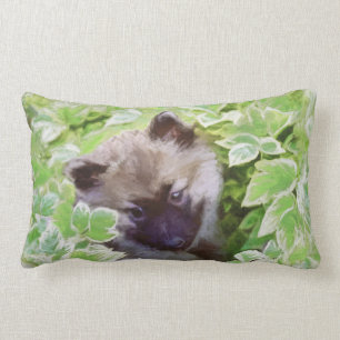 Coussin Rectangle Keeshond Puppy in the Garden Painting Original Art