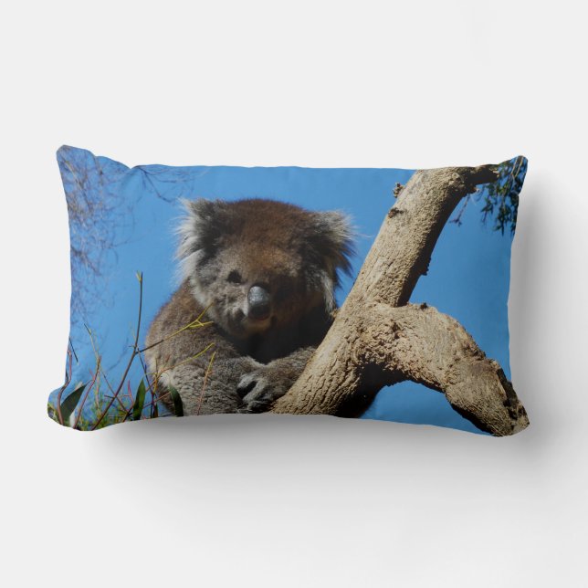 Coussin Rectangle Koala Porte Le Whisperer De L'Arbre, (Recto)