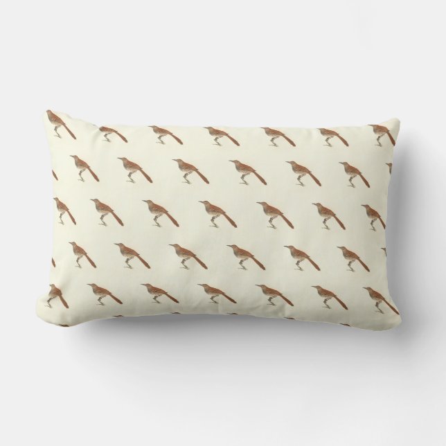 Coussin Rectangle La Grive Brown ou le Trasher Brown, New York Birds (Recto)