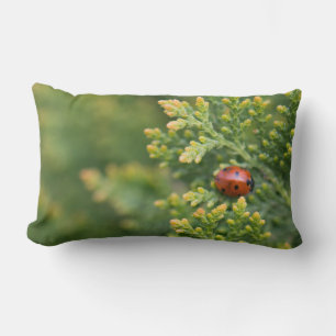Coussin Rectangle Ladybug
