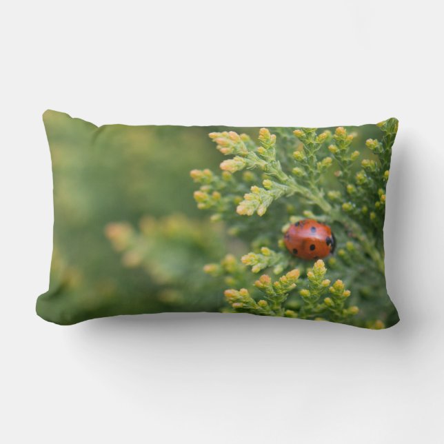 Coussin Rectangle Ladybug (Recto)