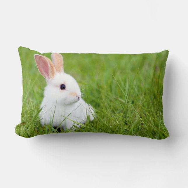 Coussin Rectangle Lapin blanc (Recto)