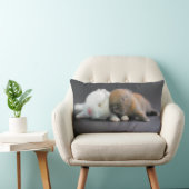 Coussin Rectangle Lapins nains de Netherland (Chaise)