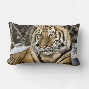 Coussin Rectangle L'art des amateurs de tigres