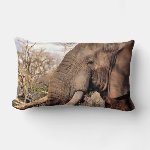 Coussin Rectangle L'Art des Amateurs d'éléphants