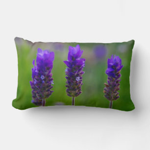 Coussin Rectangle lavande