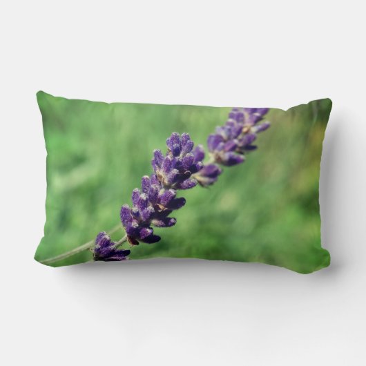 Coussin Rectangle Lavender Stalk Photo Lumbar Cushion (Verso)