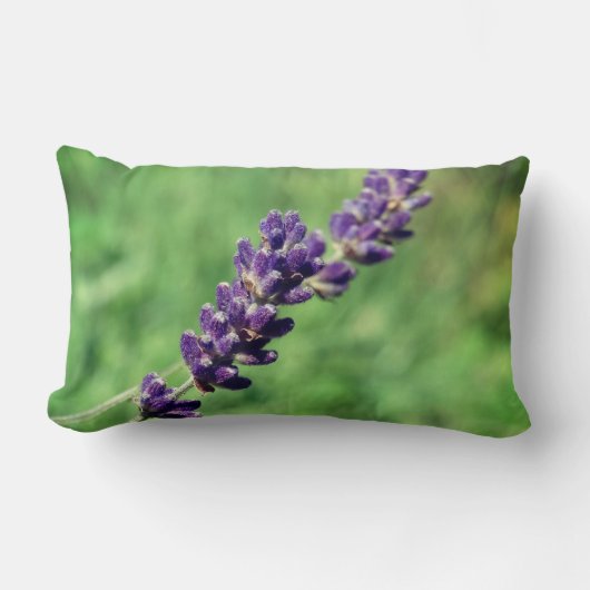 Coussin Rectangle Lavender Stalk Photo Lumbar Cushion (Recto)