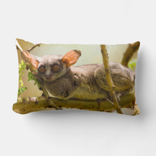 Coussin Rectangle Le Galago du Sénégal (Galago Senegalensis)