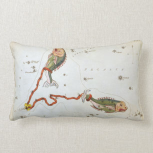 Coussin Rectangle Le miroir de l'Ukraine, la constellation Vintage d