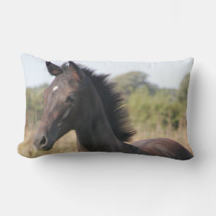 Coussin Rectangle Le nouveau ponton