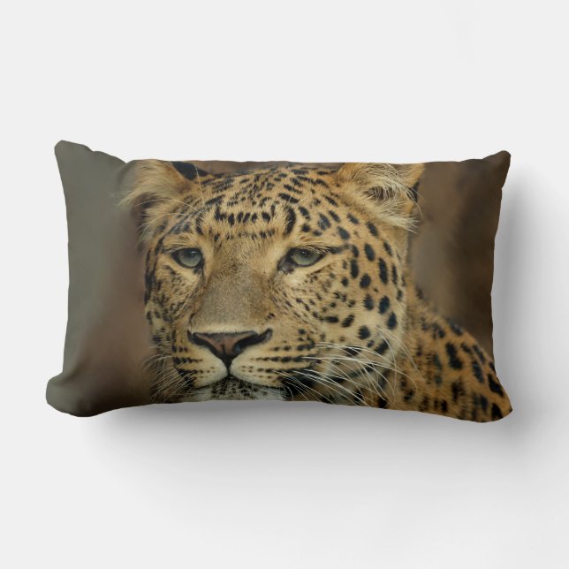 Coussin Rectangle Leopard Lovers (Recto)