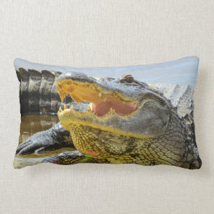 Coussin Rectangle Les Alligators américains face à face
