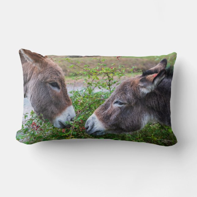 Coussin Rectangle Les ânes, (Recto)