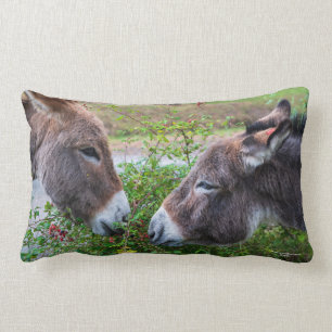 Coussin Rectangle Les ânes,