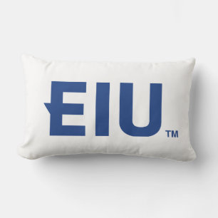 Coussin Rectangle LETTRE bloc EIU