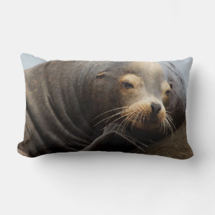 Coussin Rectangle Lion de mer de Californie au repos