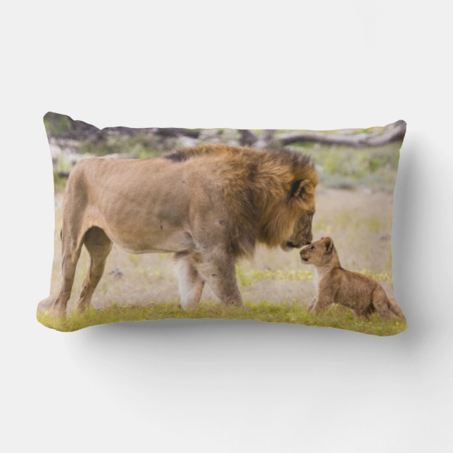 Coussin Rectangle Lion mâle alpha inspecte un petit (Recto)