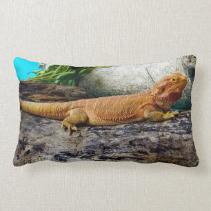 Coussin Rectangle Lizard de dragon à tête adulte