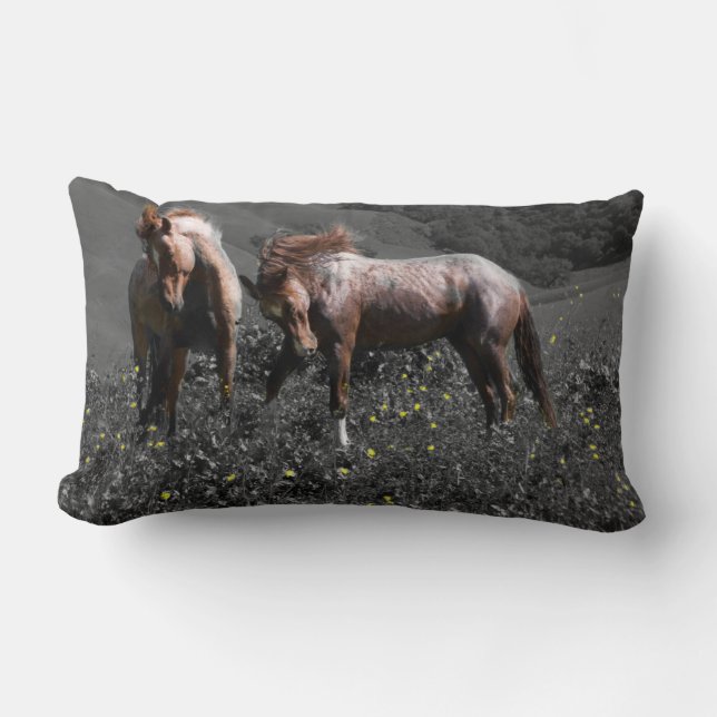 Coussin Rectangle Longeron d'étalon (Recto)