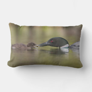 Coussin Rectangle Loon adulte nourrissant un poussin