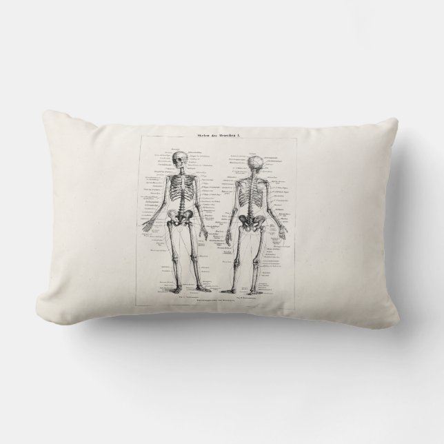 Coussin Rectangle L'os humain squelettique vintage d'anatomie (Recto)