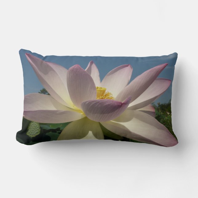 Coussin Rectangle Lotus Flower et Blue Sky I (Recto)