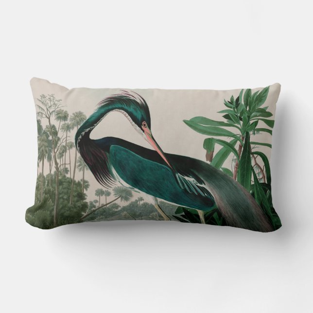 Coussin Rectangle Louisiana Heron Birds of America Audubon Imprimer (Recto)