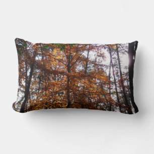 Coussin Rectangle Lumière du soleil à travers un arbre en automne à