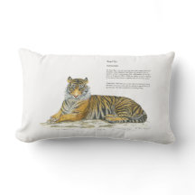 Main majestueuse peinte Tigre du Bengale