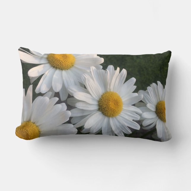 Coussin Rectangle Marguerites blanches (Recto)